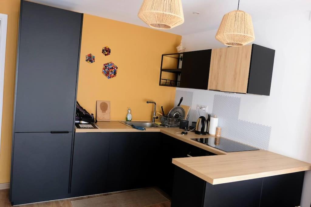 Séjour chez l'habitant Chambre Spacieuse Et Lumineuse Chez L'habitant Nice